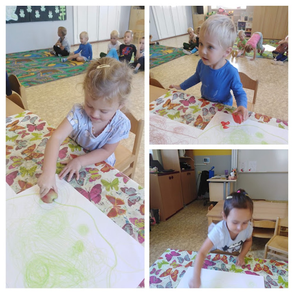 IMG_20240919_092529-COLLAGE