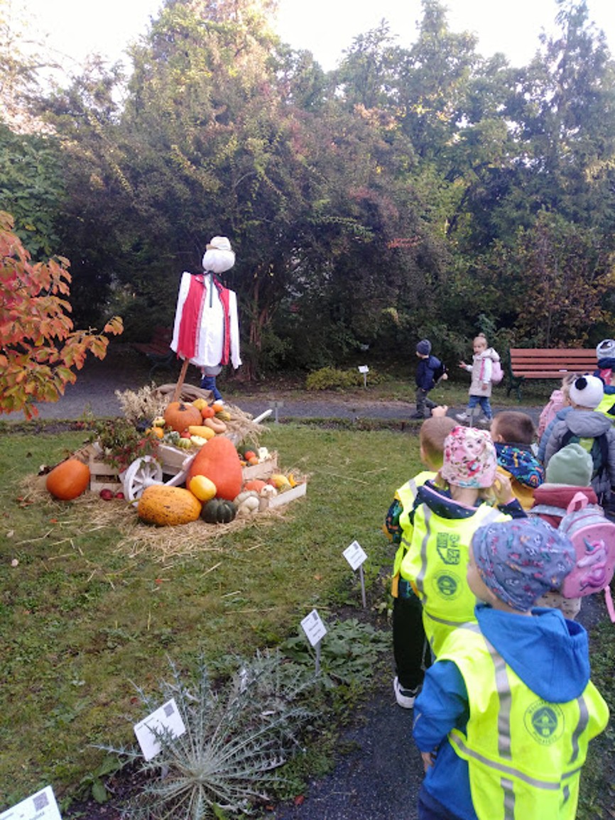 IMG_20241010_090843