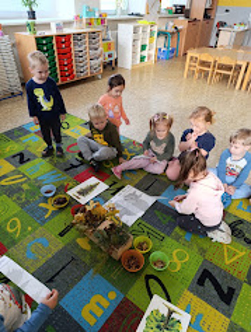 IMG_20241025_092433